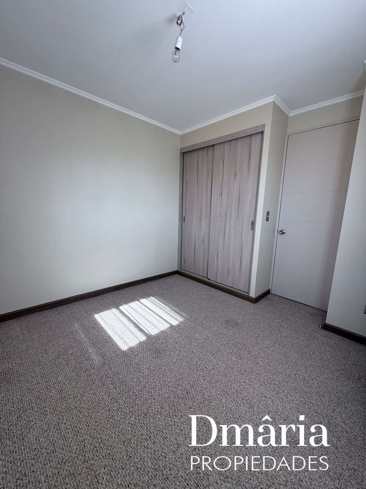 WhatsApp Image 2025-07-08 at 10.28.13 PM (2)_6870591782e96.jpeg